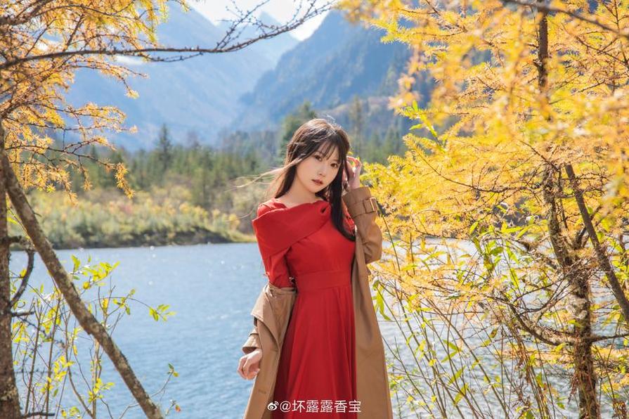 冲哥黑料全网黑料入口：你需要的网站导航，一键直达