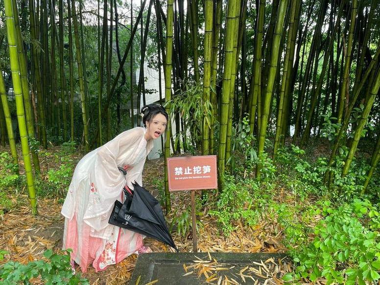 黑料不打烊网址不见了，快来找新的在线观看地址